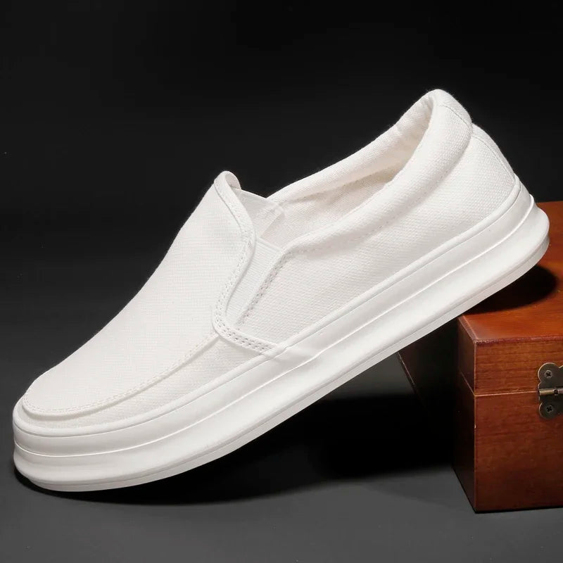 Chaussures élégantes en toile
