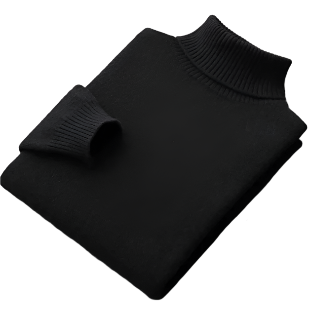 Nicola Turtleneck Sweater