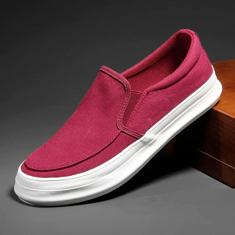 Chaussures élégantes en toile