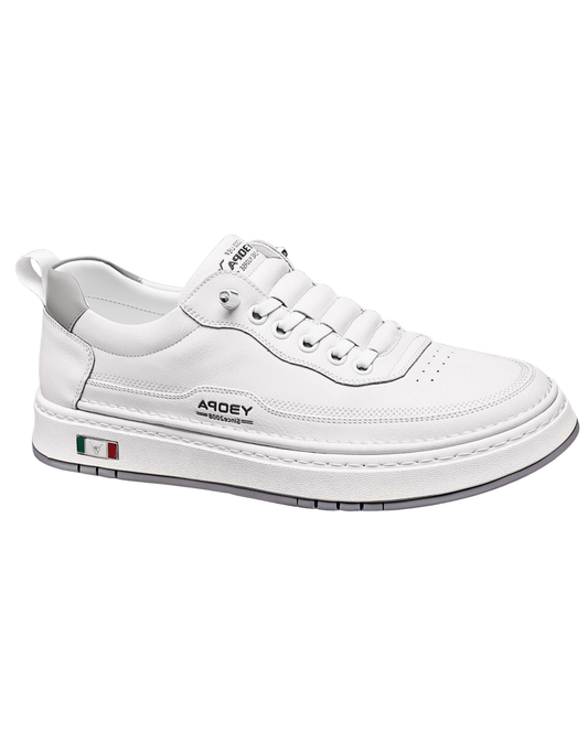 Italian Leather Shoes