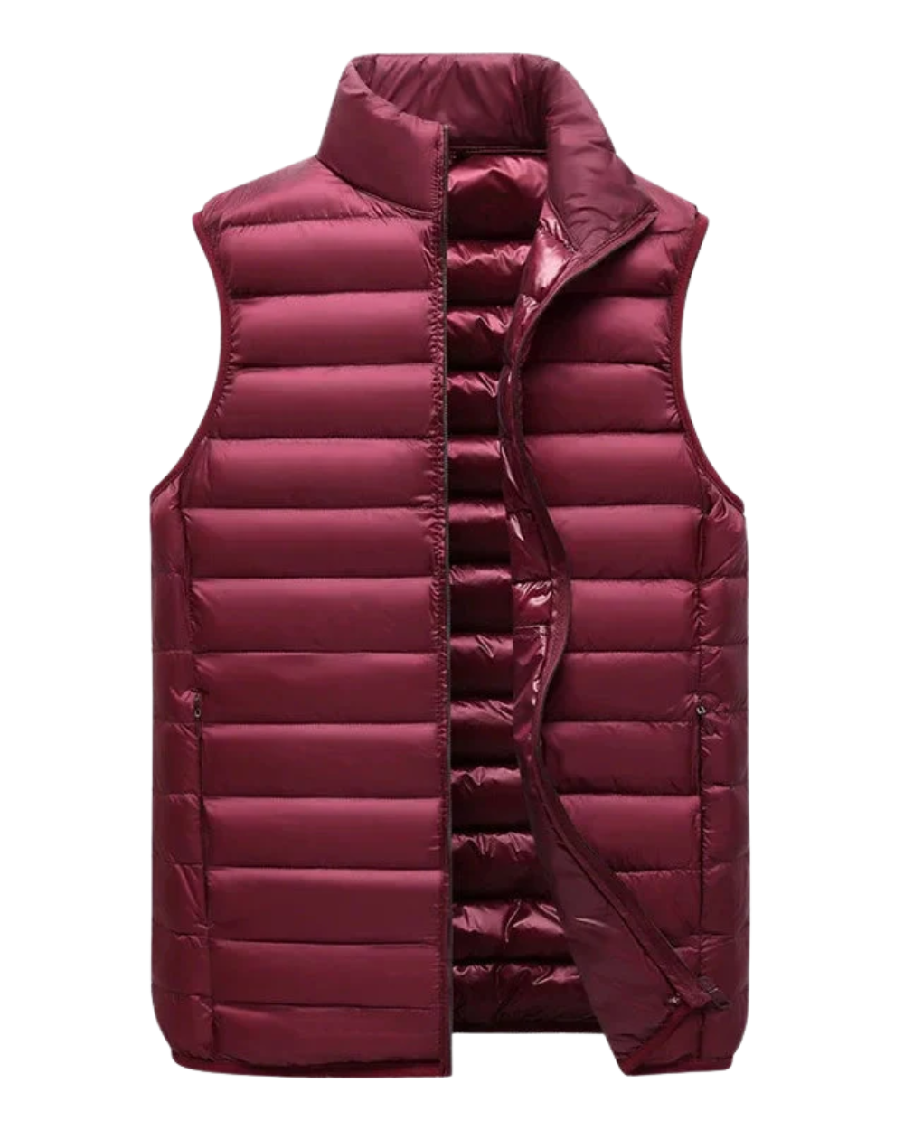 Elegant Men's Waistcoat